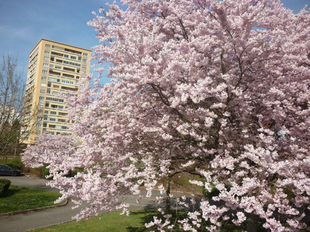 L'Oree Du Parc A Belfort Kültér fotó